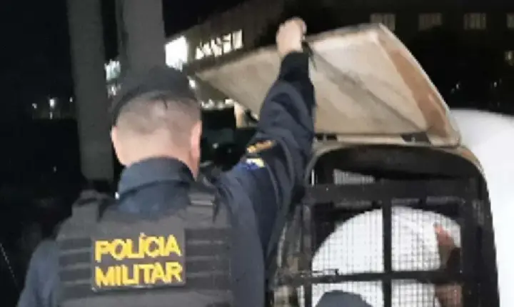Ação - PM cumpre mandados de prisão em Pimenta Bueno e Primavera de Rondônia