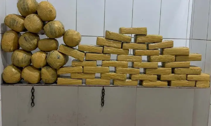 Ação - Polícia Militar apreende aproximadamente 54 quilos de maconha em Cacoal