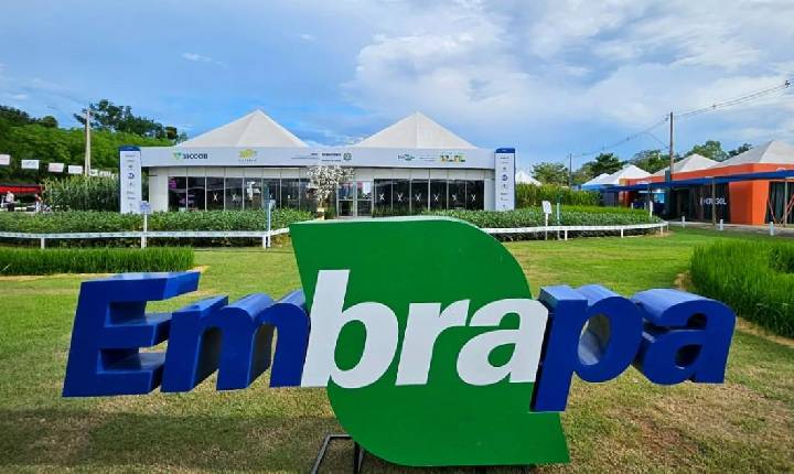 Agronegócio - Rondônia Rural Show: Embrapa e parceiros promovem Agro Summit Amazônia
