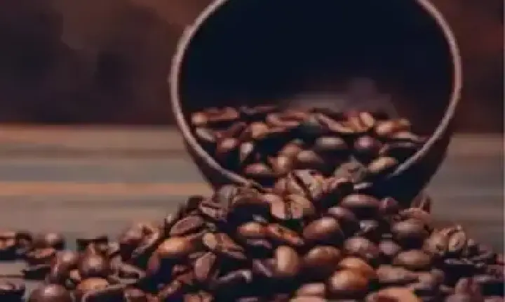 Agronegócios | Agronegócios - Café hoje: confira as cotações para esta terça-feira (28)