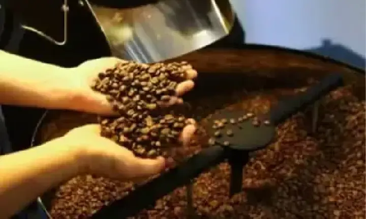 Agronegócios | Agronegócios - Café hoje: confira cotações para esta quarta-feira (13)