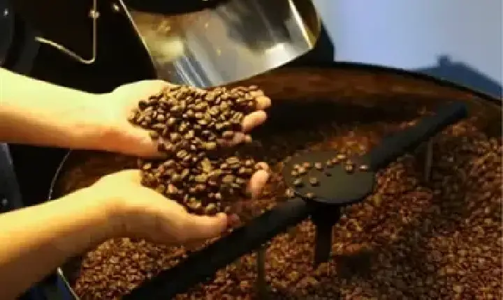 Agronegócios | Agronegócios - Café hoje: confira cotações para esta quinta (21)