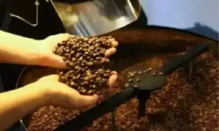 Agronegócios | Agronegócios - Café hoje: confira cotações para esta quinta-feira (14)