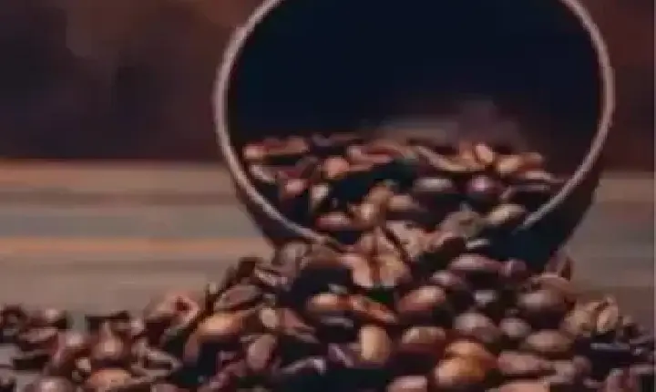 Agronegócios | Agronegócios - Café hoje: confira cotações para esta segunda-feira (11)