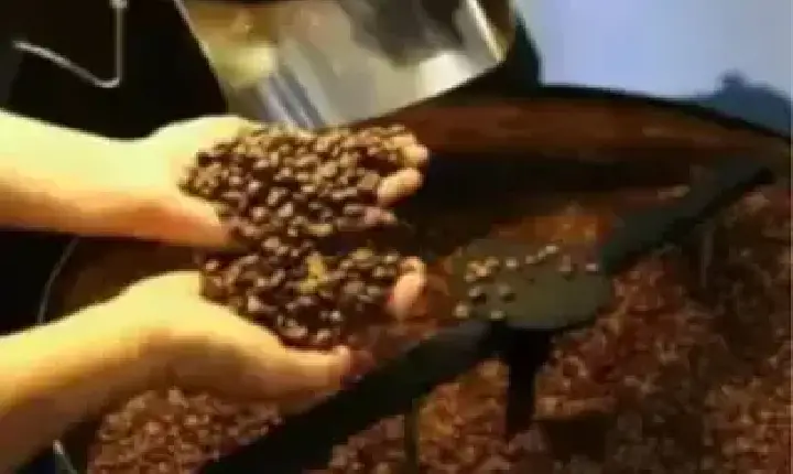 Agronegócios | Agronegócios - Café hoje: confira cotações para esta sexta-feira (12)