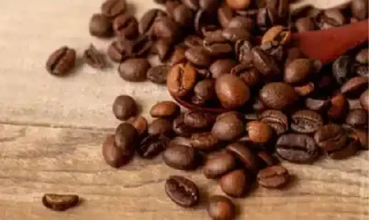 Agronegócios | Agronegócios - Café hoje: confira cotações para esta sexta-feira (19)