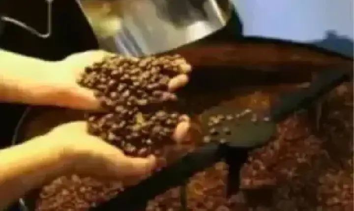 Agronegócios | Agronegócios - Café hoje: confira cotações para esta terça-feira (16)