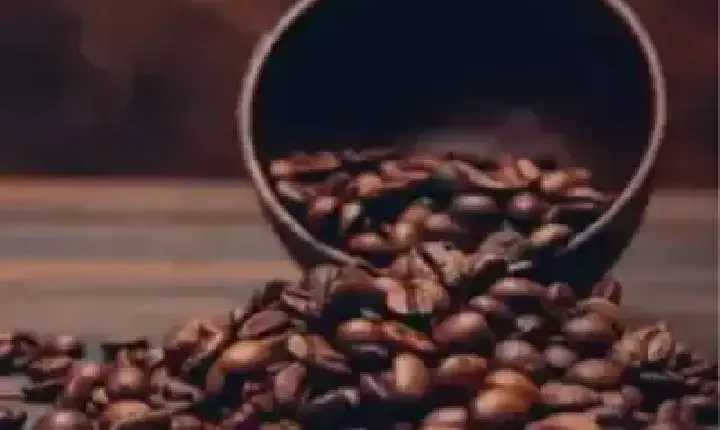 Agronegócios | Agronegócios - Café hoje: confira cotações para esta terça-feira (5)
