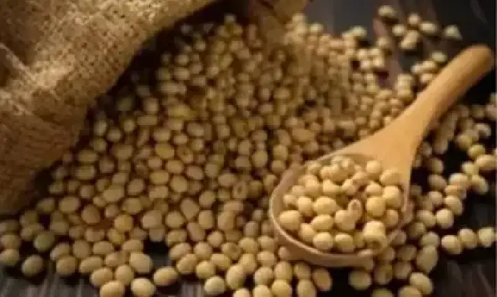 Agronegócios | Agronegócios - SOJA E TRIGO: confira os preços dos grãos nesta terça-feira (5)
