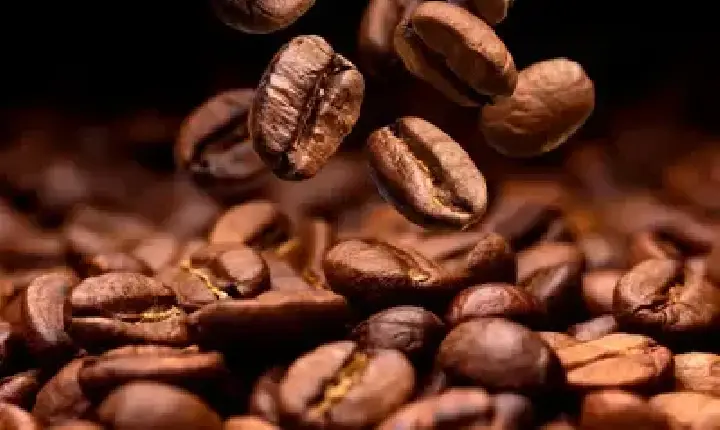 Agronegócios | Café - Café hoje: confira cotações para esta quinta-feira (3)