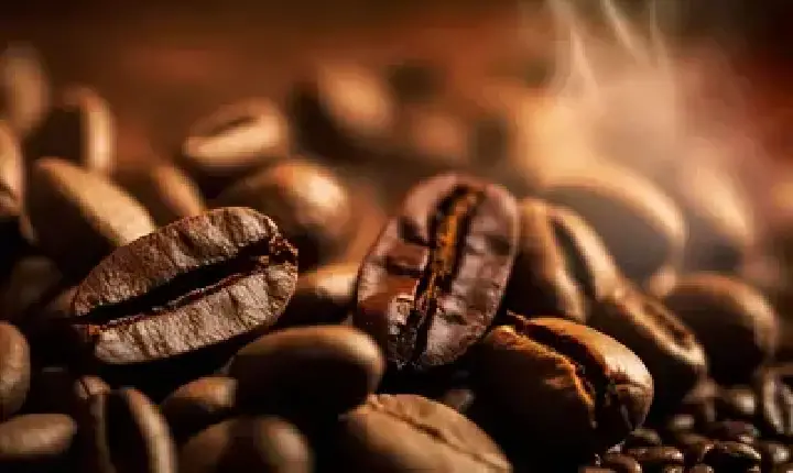 Agronegócios | Café - Café hoje: confira cotações para esta sexta-feira (28)