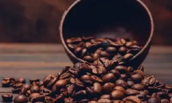 Agronegócios | Café - Café hoje: confira cotações para esta terça-feira (4)