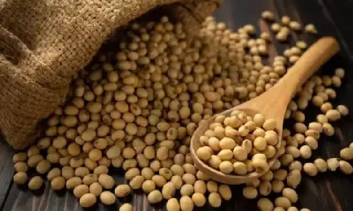 Agronegócios | Soja-  Soja e trigo: confira as cotações de preço para esta sexta-feira (29)