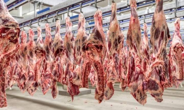 Brasil - União Europeia bloqueia temporariamente carnes, ovos e mel produzidos no Brasil
