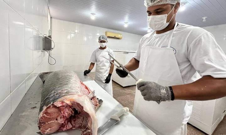Cadeia do pescado ganha reforço da Prefeitura