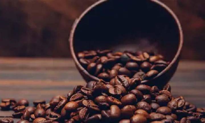 Café hoje: confira as cotações para esta terça-feira (7)