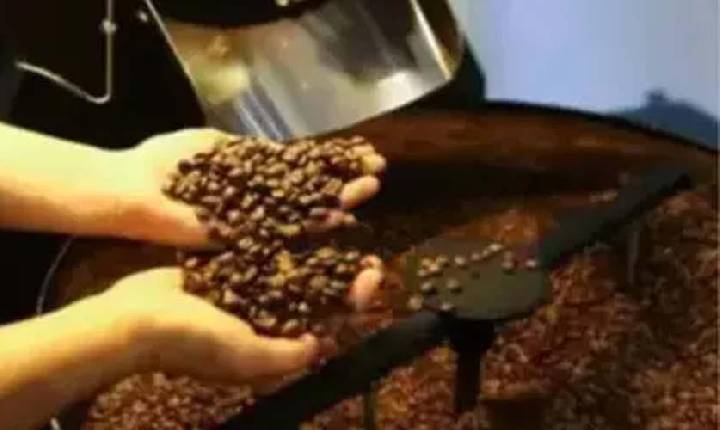 Café hoje: confira cotações para esta quinta-feira (11)