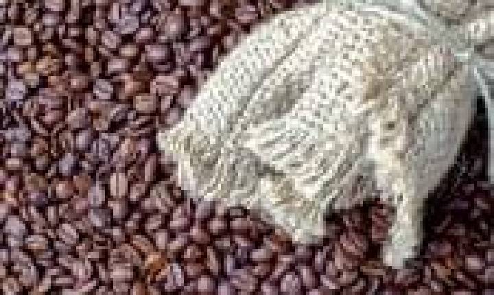 Café inicia novembro em alta com arábica a 396,90 cents/lbp e robusta a US$ 4.550/t