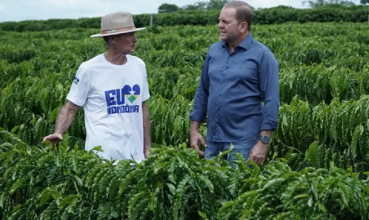 CAFEICULTURA  - Projeto Raízes do Café recebe R$700 mil com apoio do deputado Cirone Deiró
