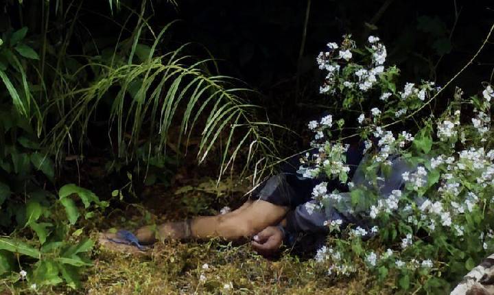 VÍDEO - CENA DE HORROR Mistério: corpo é encontrado com sinais de violência e amarrado na zona rural em MT; vídeo