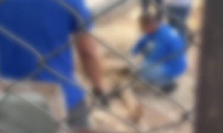 CENA MACABRA - Colega mata venezuelano com facadas e golpes de enxada e enterra corpo em cova rasa em MT; vídeo
