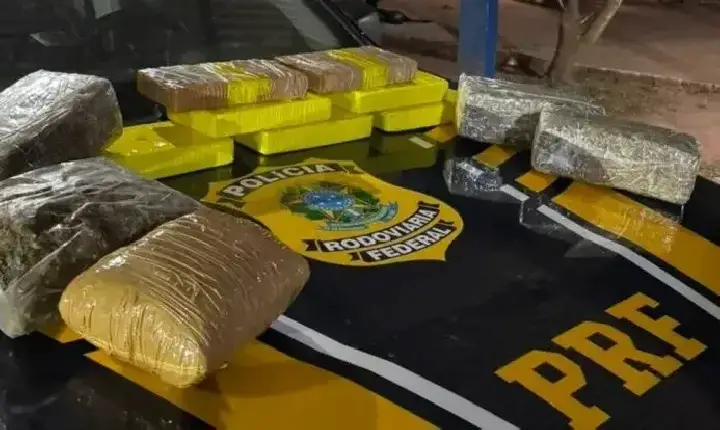 cidade - PRF em Rondônia apreende mais de 12 kg de drogas em ônibus de passageiros na BR-425