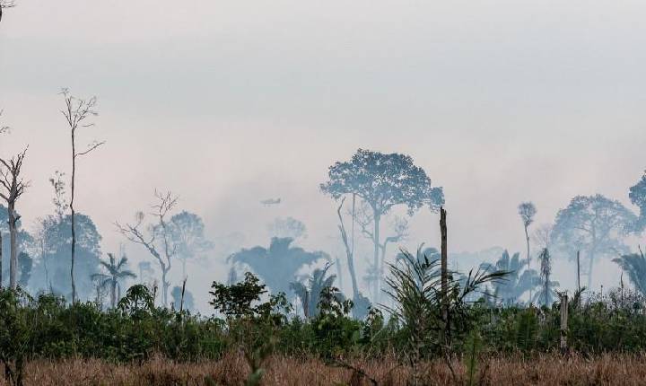 Cidades Ibama inicia operação para prevenir incêndios florestais na Amazônia