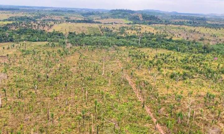 Cidades - MPRO entra com Ação Civil Pública por desmatamento de área equivalente a 1.780 campos de futebol