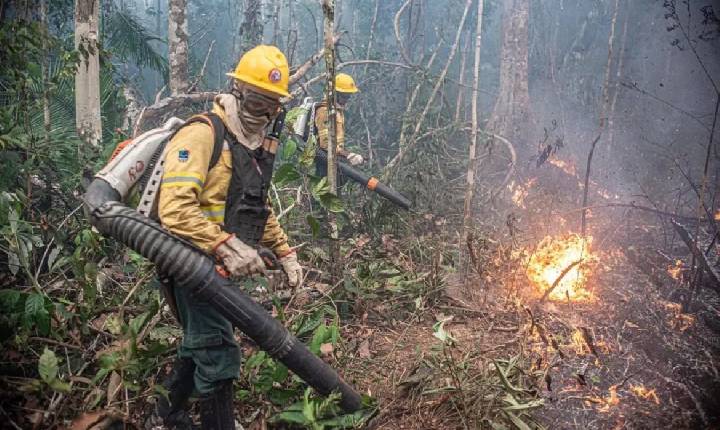 Concursos e Empregos - Inscrições para contratação de 270 brigadistas para o Corpo de Bombeiros terminam nesta terça-feira