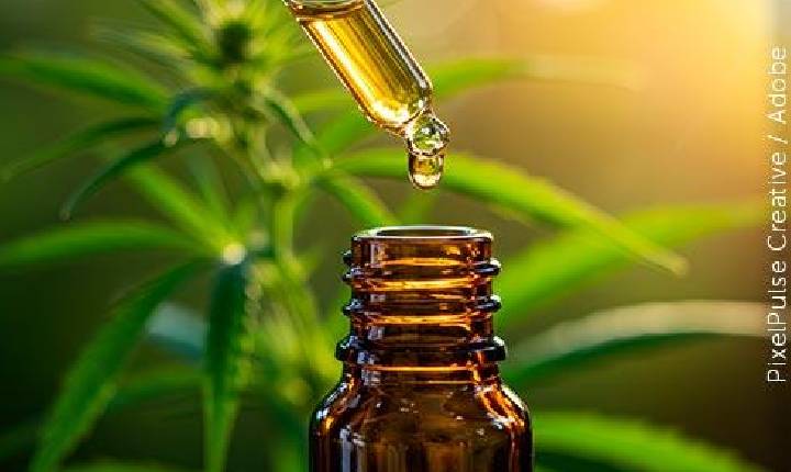 Destaque - Os precedentes cíveis e penais do STJ sobre o uso medicinal da cannabis