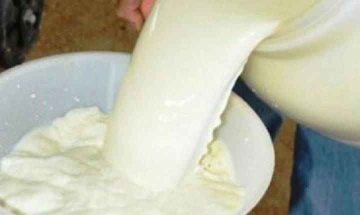 Diário da Amazônia - CPI do leite amplia investigação no estado e pressiona por dados oficiais