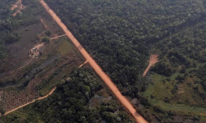 Diário da Amazônia -  Entre asfalto e floresta surge debate sobre regras e impactos