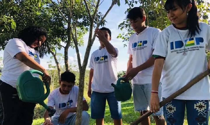 Educação de RO atrai alunos de fora para cursos do agro