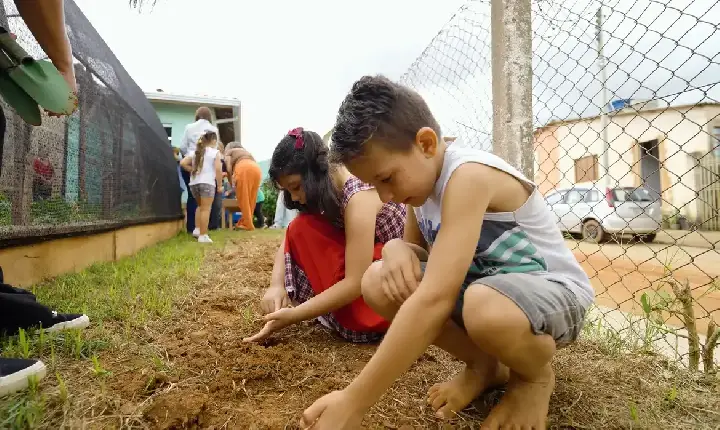 Educação - Natureza e saberes tradicionais guiam projeto premiado em escola rural