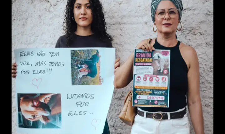 Eleições 2026 Vera Paixão destaca importância do planejamento para fortalecer serviços públicos e a causa animal