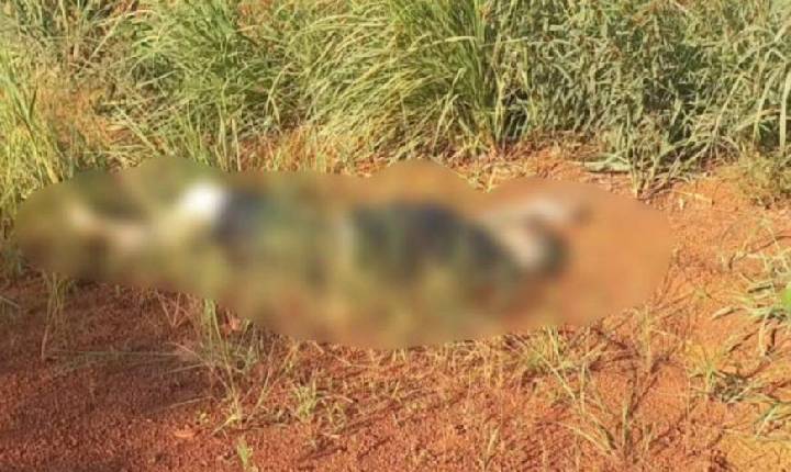 Faccionado envolvido em sequestro, tortura e execução cruel é preso em Rondonópolis