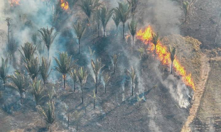 Fenômeno natural El Niño aumenta risco de queimadas durante a estiagem em Porto Velho