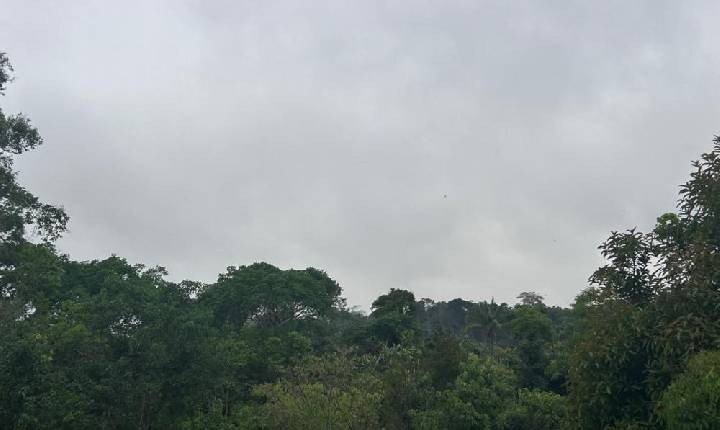 Geral - Massa de ar polar derruba temperaturas em Rondônia