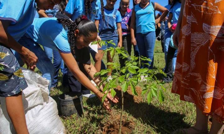 MEIO AMBIENTE - Abertura da Semana do Meio Ambiente em Vilhena destacará desafios entre agro e preservação