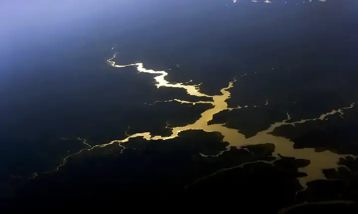 Meio Ambiente - Captura de carbono na Amazônia está em risco, diz estudo