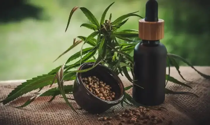 Notícias - Projeto apoia mães e crianças atípicas tratadas à base de cannabis