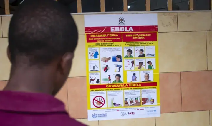 OMS declara emergência de saúde pública mundial devido a surto de Ebola