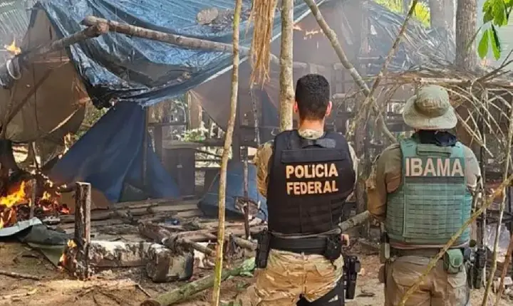 Operação - PF e Ibama combatem garimpo ilegal em terra indígena