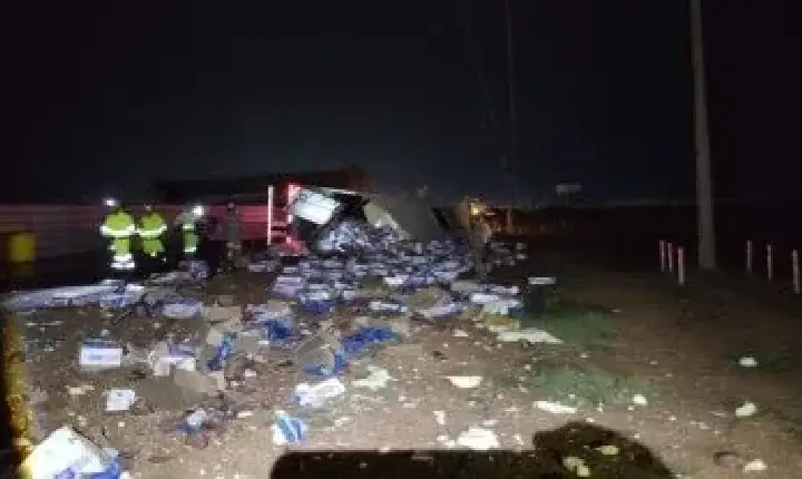 Polícia - Caminhão com picanha tomba em rodovia de MT e é saqueado por populares