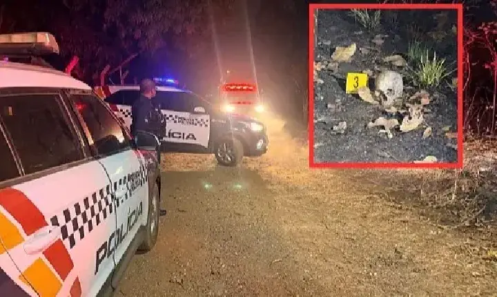 Polícia  - Crânio humano com sinais de carbonização é encontrado em área de mata em Cuiabá