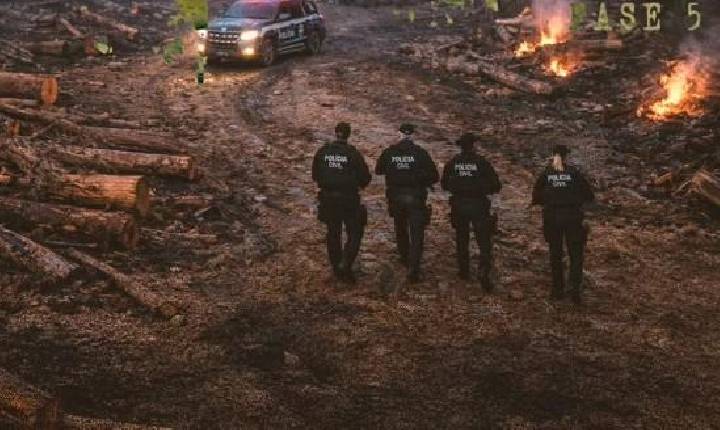 Polícia - Grupo que invadia e vendia área protegida é alvo de operação da Polícia Civil em Porto Velho