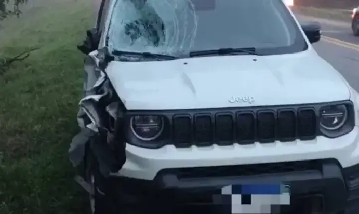 Polícia - Irmãos de 7 e 14 anos morrem atropelados por utilitário na BR-470