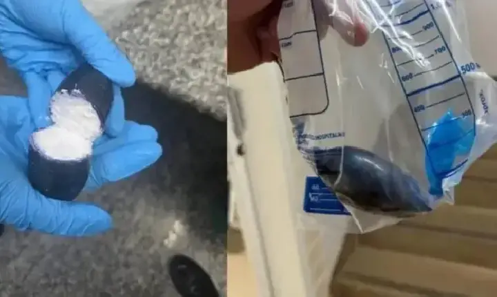 Polícia - Mulher é flagrada tentando entrar na Papuda com cocaína no ânus