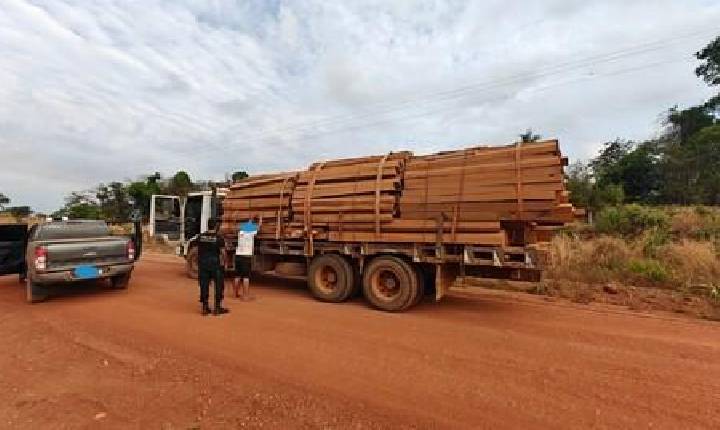 Polícia - Operação Acesso Facilitado investiga exploração ilegal de madeira e minérios em Rondônia
