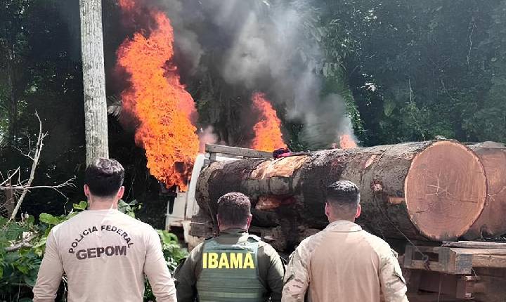 Polícia - Operação da PF, Funai, Ibama e Exército encontra três caminhões carregados com madeira ilegal em terra indígena em Rondônia